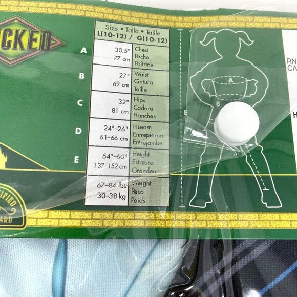 NBCUniversal Girls' Wicked the Musical Elphaba Shiz Classic Costume Dress - Picture 14 of 15